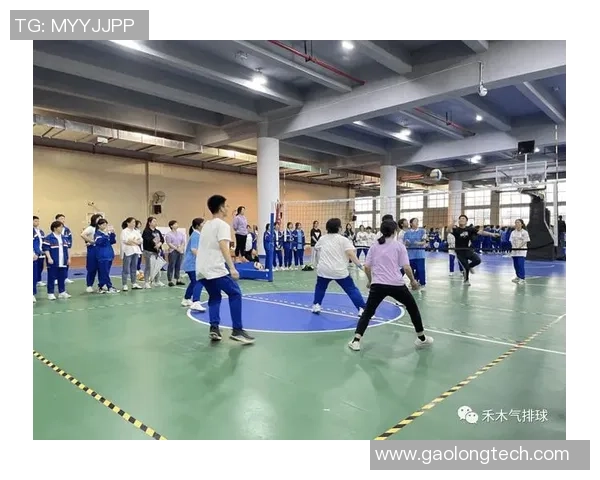 杭州排球队整体压制战术解析与实战应用探讨